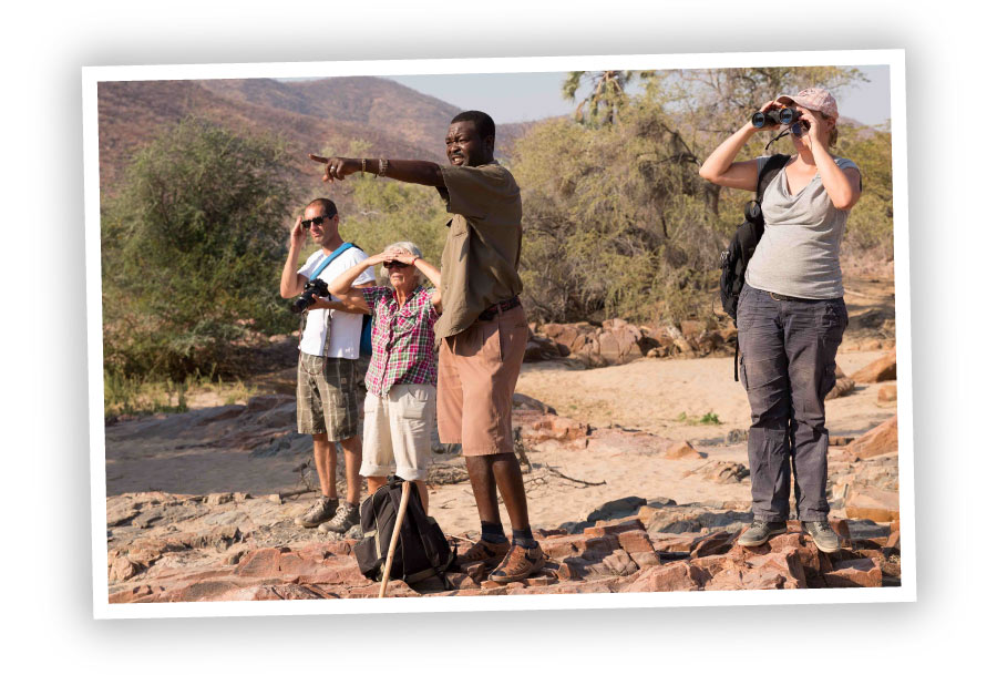 Was Wir Anbieten Um Namibia Zu Entdecken