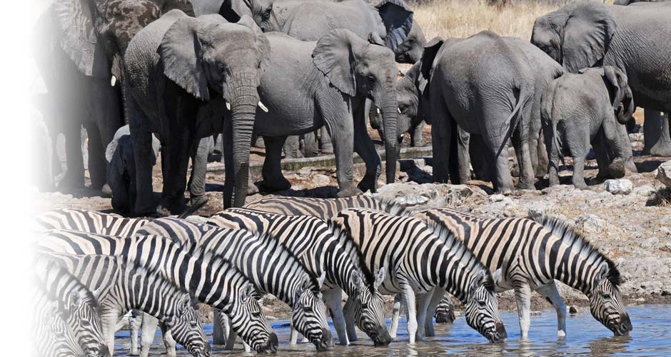 Explore-Namibia_Duurzaam_Reizen_img12
