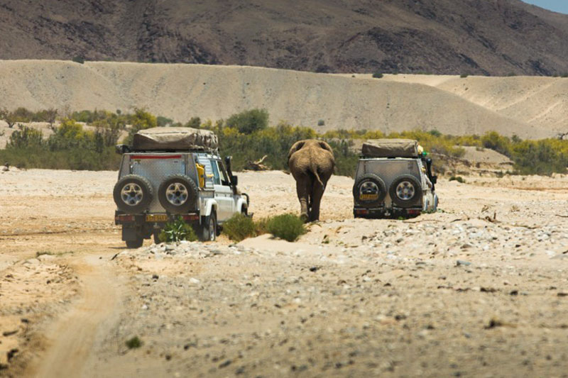 Namibia-Private-Guided-Safari-Tours-Tours-in-Convoy-10