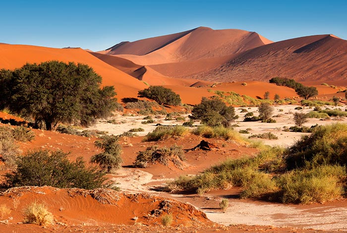 Namibia-Privat geführte Safari-Namib-Desert