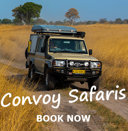 Namibia-Private-Guided-Safari-Tours-Tours-in-Convoy-05a