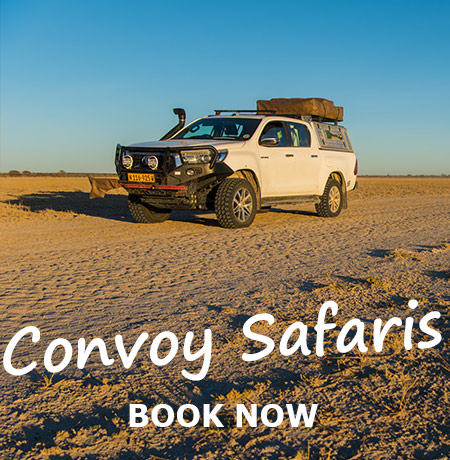 Namibia-Private-Guided-Safari-Tours-Tours-in-Convoy-05c