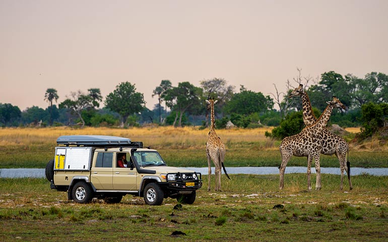 Namibia-private-geführte-Safaris-im-Konvoi-Kaokoland-Tour