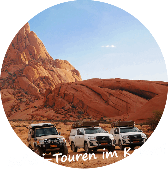 Namibia und Botswana private gefuhrte Safari-Touren im Konvoi
