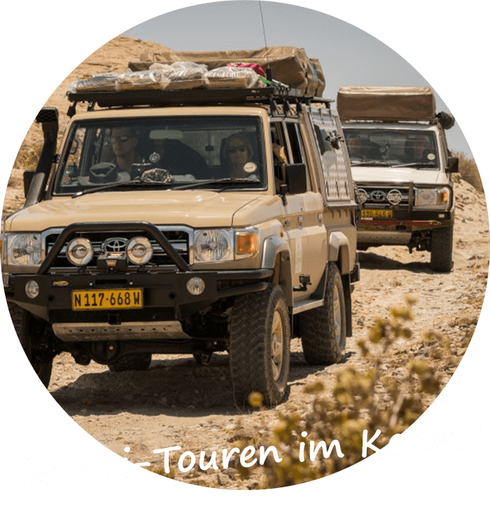 Namibia private gefuhrte Safari-Touren im Konvoi