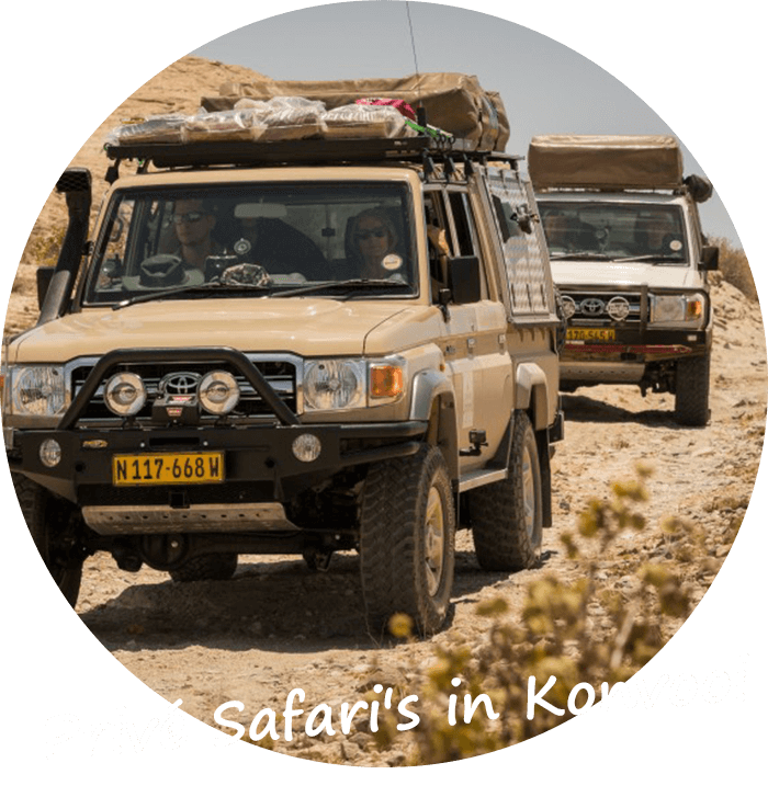Namibië Prive begeleide safari in konvooi