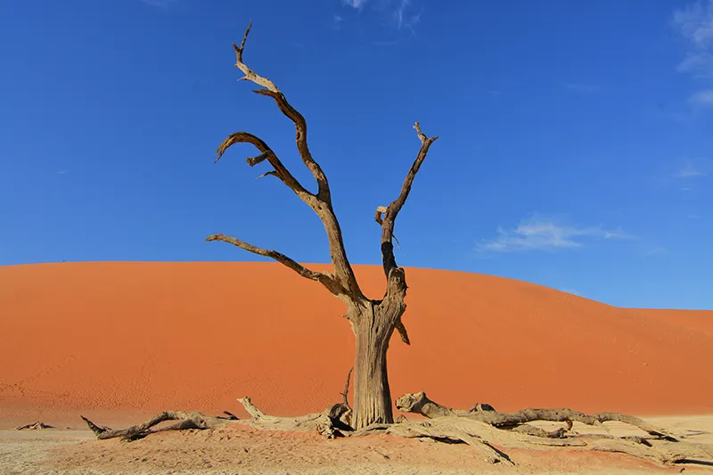 Guided Namibia Photography Tour North-Sossusvlei
