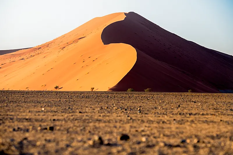 Guided Namibia Photography Tour North-The Namib