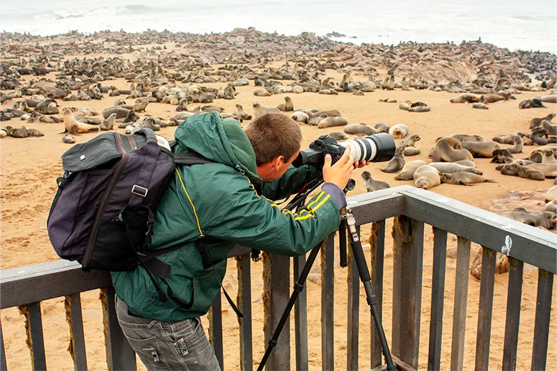 Guided Namibia Photography Tour North-seal colony in Walvis Bay