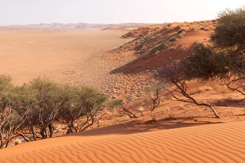 Guided Namibia Photography Tour South-Sossusvlei