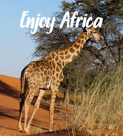 Explore-Namibia-Impressum-Spezialist-Namiba-Safari-Reisen