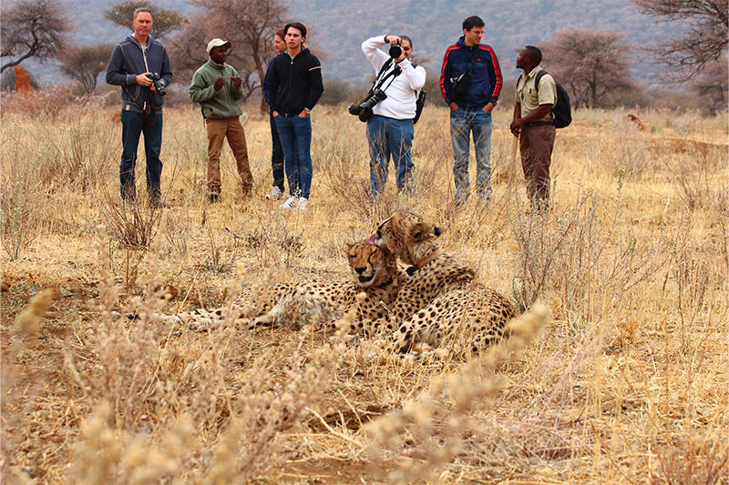 Explore-Namibia-Book-Extra-Activities-With-Your-Safari-wildlife-sanctuaries