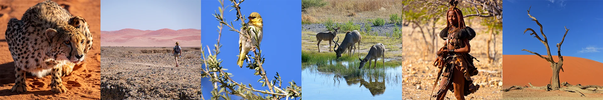 Namibia-Self-Drive-Safari-Add-on-Victoria-Falls-Chobe