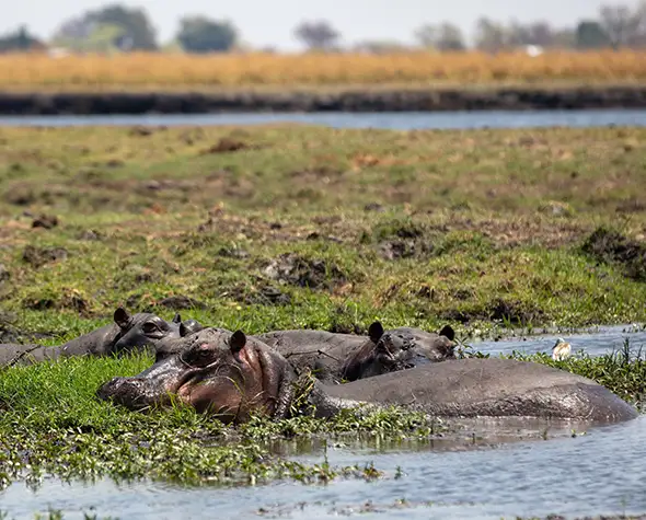 Namibia-Selbstfahrer-Safari-Reiserouten-Reisebaustein-Victoriafälle-Chobe