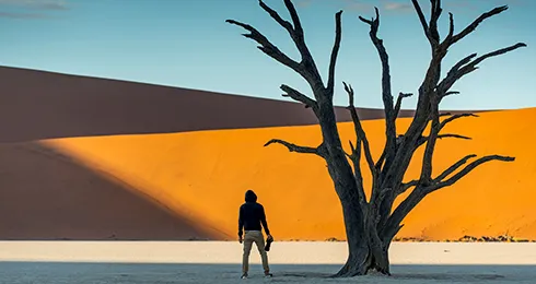 Geführte Fotoreise Ikonisches Namibia