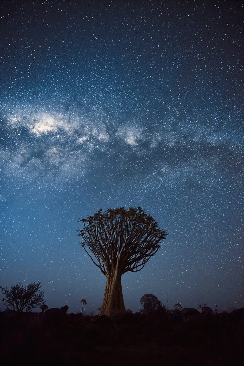 Geführte Fotoreise Ikonisches Namibia
