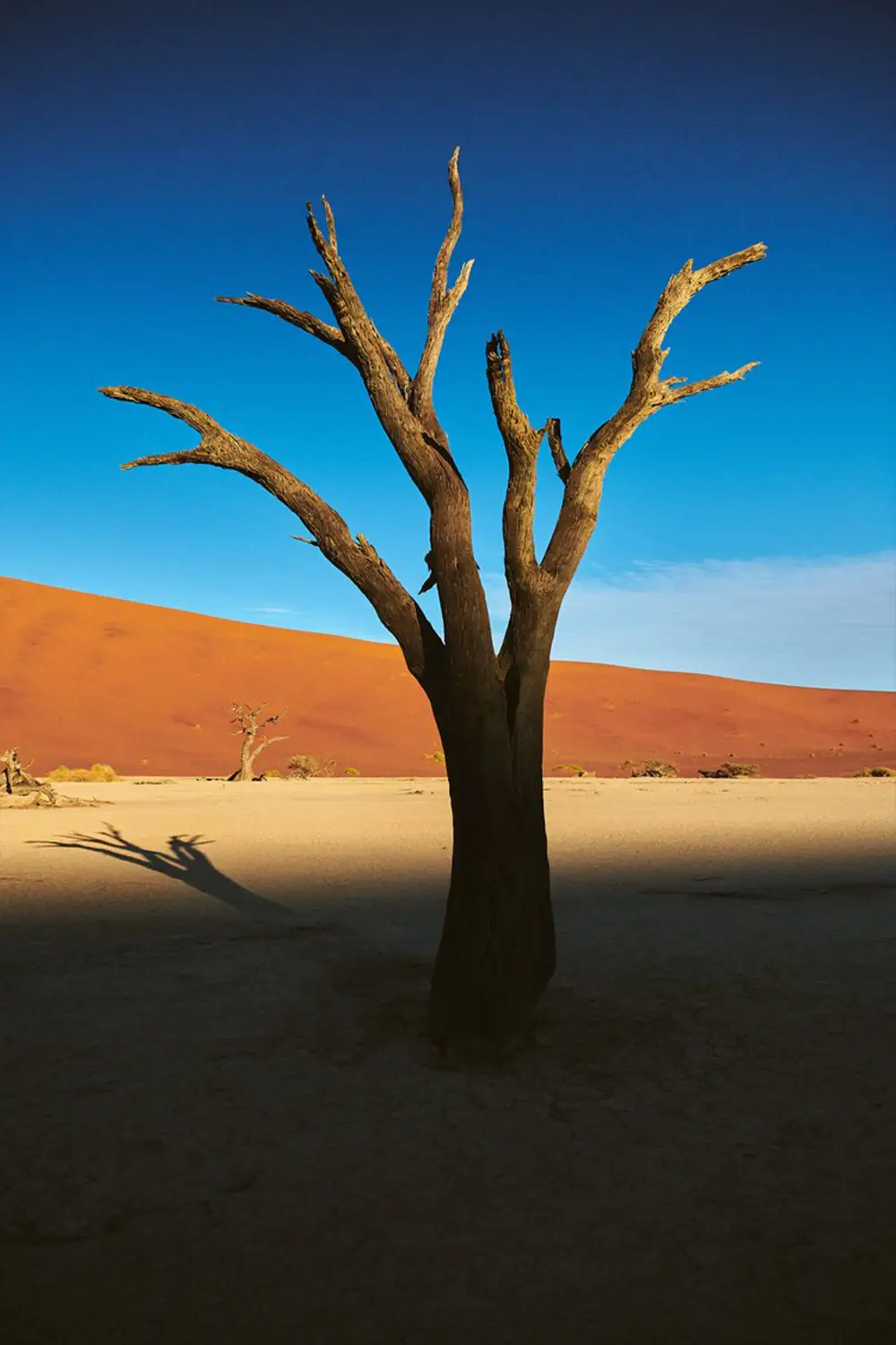 Geführte Fotoreise Ikonisches Namibia-Sossusvlei-und-Deadvlei