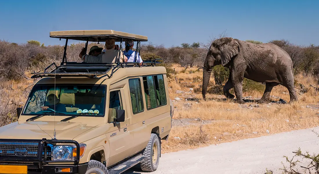Namibia geführten Kleingruppen-Safaris Stretched Landcruiser