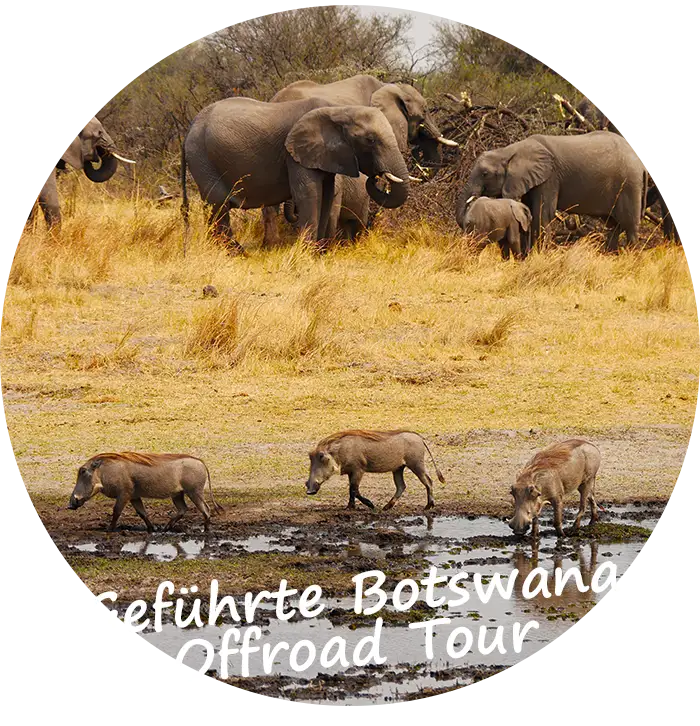 Namibia Geführte Botswana Offroad Tour